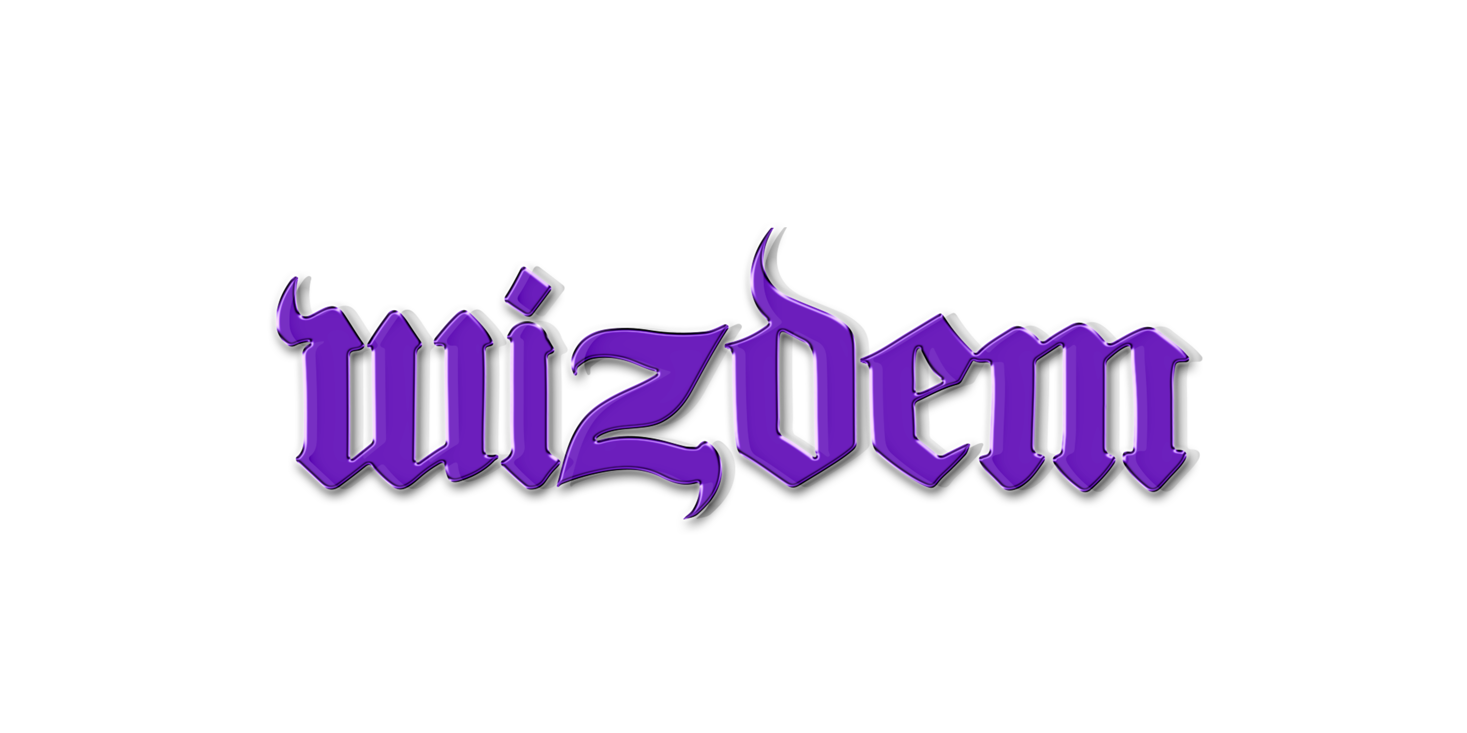 Unleash Your Urban Style with the Hottest Streetwear Clothing Brand
– Wizdem